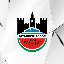 Diyarbekirspor Token