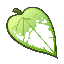 Ninneko (Mata)