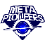 Metapioneers