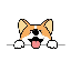 Corgidoge