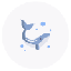 Moby Dick V2