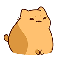 bichi mao